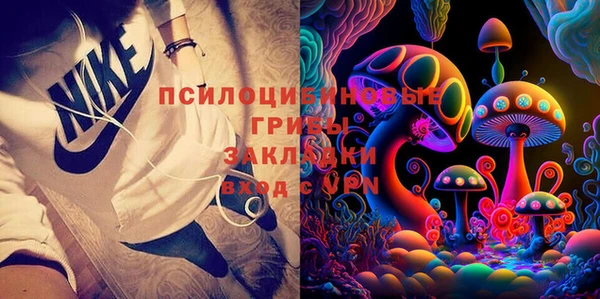 apvp Аркадак