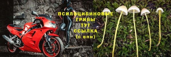 мет Арсеньев